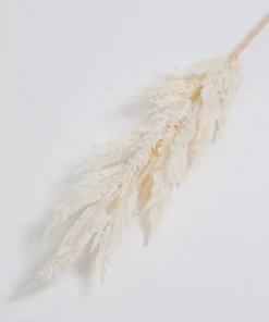 Inspire Me! Home Decor 46" White Pampa Stem Floral Stems