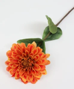 Inspire Me! Home Decor 24