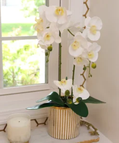 Inspire Me! Home Decor White Potted Faux Orchid In Gold And White Vase