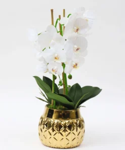 Inspire Me! Home Decor Tall White Potted Faux Orchid