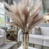 Inspire Me! Home Decor 47" Cream Feather Pampas Stem PRE-ORDER Floral Stems