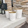 Inspire Me! Home Decor Indoor/Outdoor Gold And White Etched Planters (3 Sizes)