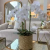 Inspire Me! Home Decor White Orchid In Gold Detailed Pot 1 Inspire Me! Home Decor White Orchid In Gold Detailed Pot