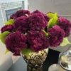 Inspire Me! Home Decor Real Touch Sedum Stem