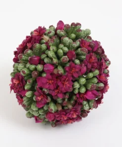 Inspire Me! Home Decor Floral Kalanchoe Orb (3 Colors)