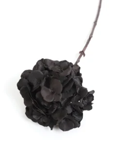 Inspire Me! Home Decor Black Hydrangea Stem