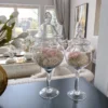 Inspire Me! Home Decor Glass Stem Jar (2 Sizes) Jars