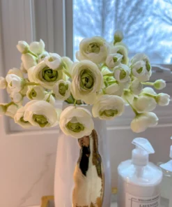 Inspire Me! Home Decor Mini Cream Ranunculus Bundle
