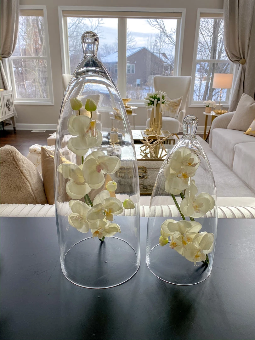 Inspire Me! Home Decor Glass Cloche (2 Sizes) 5 Inspire Me! Home Decor Glass Cloche (2 Sizes)