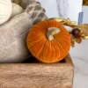 Inspire Me! Home Decor Mini Velvet Orange Decorative Pumpkin