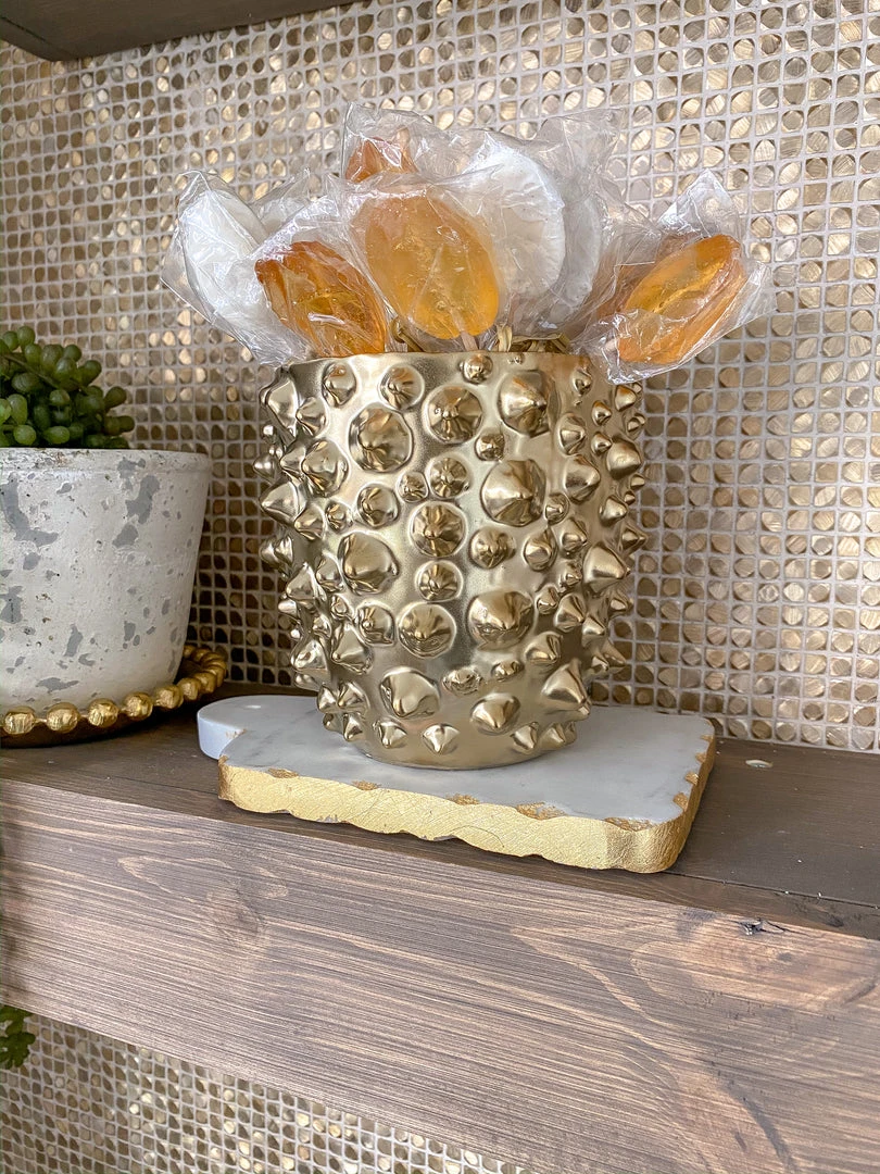 Inspire Me! Home Decor Mini Spike Planter 3 Inspire Me! Home Decor Mini Spike Planter